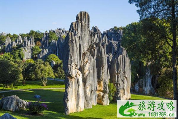 2022高考准考证石林风景区免票游玩信息 2022高考准考证石林风景区免票游玩信息