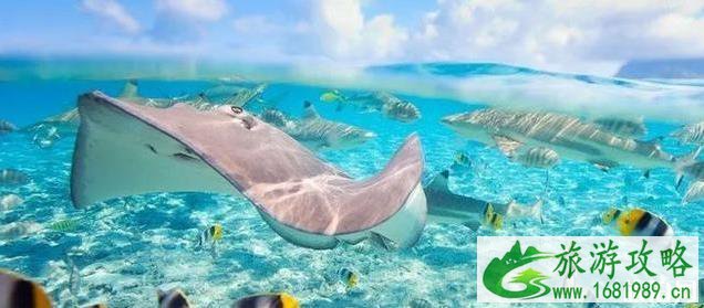 大溪地旅游安全吗