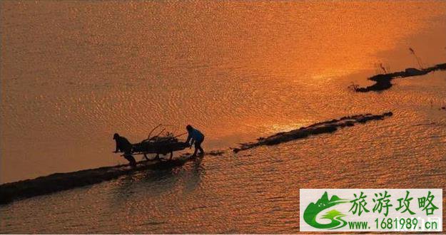 2022鄱阳湖国家湿地公园开渔季攻略+时间+地址 2022鄱阳湖国家湿地公园开渔季攻略+时间+地址