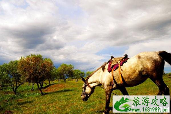去呼伦贝尔带什么东西 去呼伦贝尔带什么东西