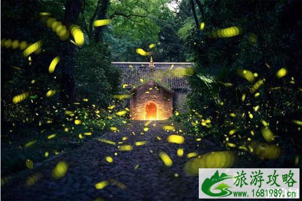 南京哪里可以看萤火虫 南京哪里可以看萤火虫