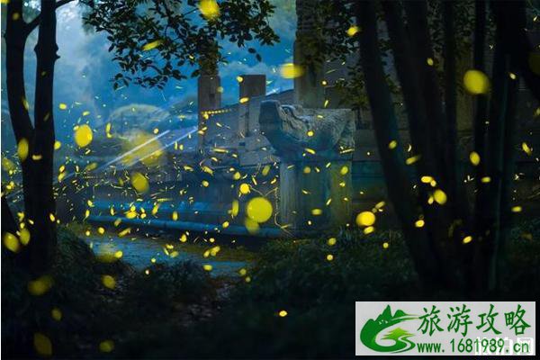 南京哪里可以看萤火虫 南京哪里可以看萤火虫