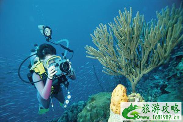 水下拍摄哪个相机好 水下拍摄设备的选择