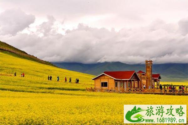 2022门源油菜花文化旅游节7月9日开启 附活动时间安排 2022门源油菜花文化旅游节7月9日开启 附活动时间安排