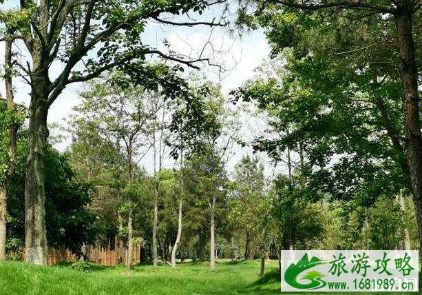 2022天柱峰景区门票免费活动时间 2022天柱峰景区门票免费活动时间