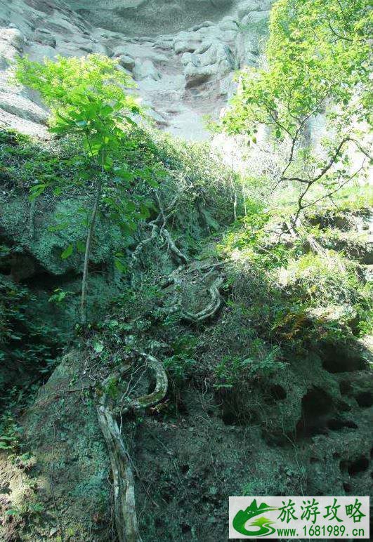 天柱峰景区在哪里 天柱峰景区游玩攻略 天柱峰景区在哪里 天柱峰景区游玩攻略