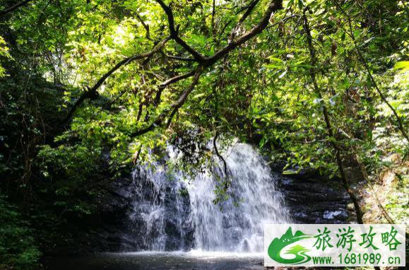 天柱峰景区在哪里 天柱峰景区游玩攻略 天柱峰景区在哪里 天柱峰景区游玩攻略