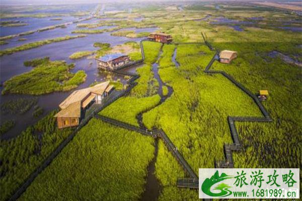 2022东滩湿地公园露营节持续至9月22日