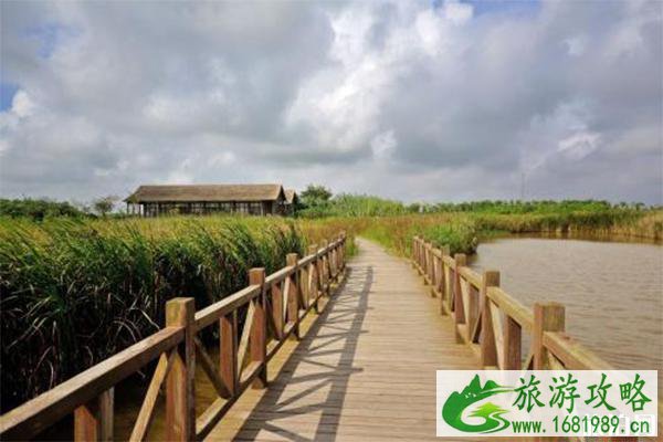 2022东滩湿地公园露营节持续至9月22日