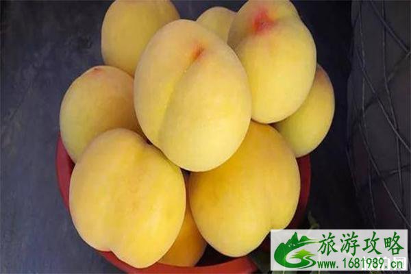 2022奉贤黄桃公益文化节 2022奉贤黄桃公益文化节