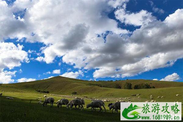 乌兰布统景区介绍