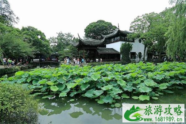 2022拙政园荷花节6月28日开启 附活动攻略 2022拙政园荷花节6月28日开启 附活动攻略