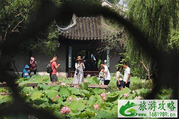 2022拙政园荷花节6月28日开启 附活动攻略 2022拙政园荷花节6月28日开启 附活动攻略