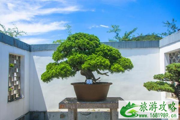 2022常州茅山宝盛园游玩攻略（景点+交通）