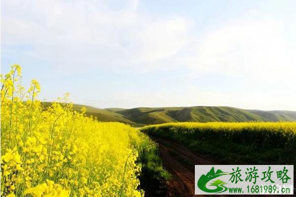 2022伊犁天马国际旅游节活动攻略