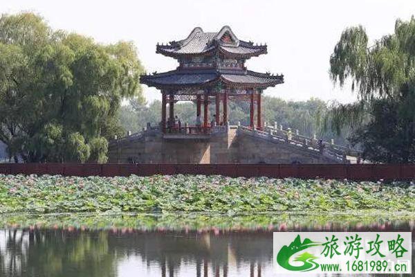 北京有荷花的公园有哪些 北京有荷花的公园有哪些