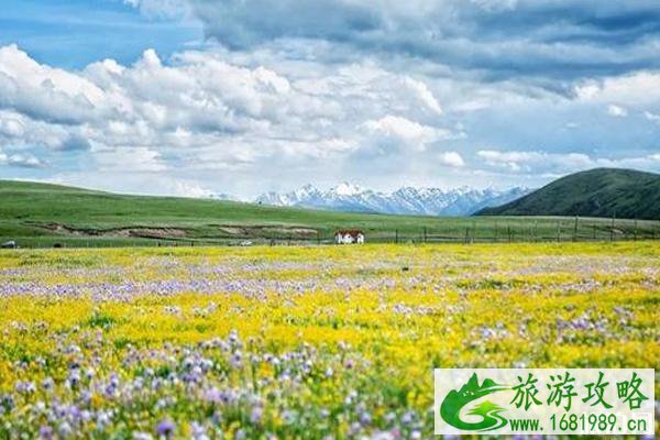 2022俄木塘花海最佳时间+怎么样
