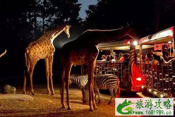 清迈夏季有什么好玩的 清迈夏季有什么好玩的