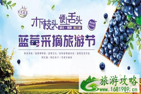 2022保康佰蒂蓝莓节6月15日开启 附采摘费用 2022保康佰蒂蓝莓节6月15日开启 附采摘费用