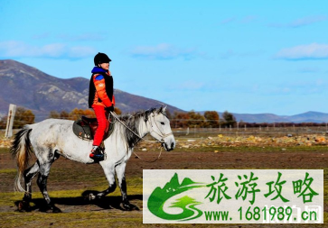 2022呼伦贝尔草原骑马多少钱+地点推荐