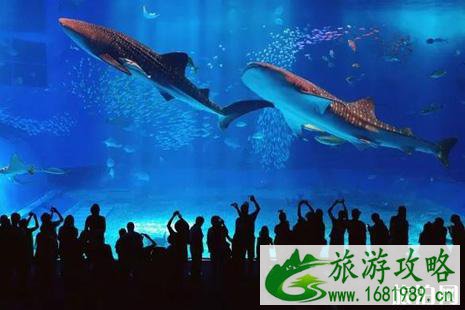 暑假海岛游适合孩子去的推荐 暑假海岛游适合孩子去的推荐