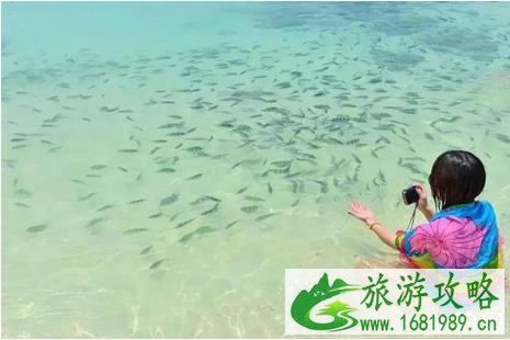 暑假海岛游适合孩子去的推荐 暑假海岛游适合孩子去的推荐