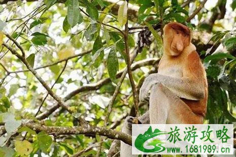 暑假海岛游适合孩子去的推荐 暑假海岛游适合孩子去的推荐