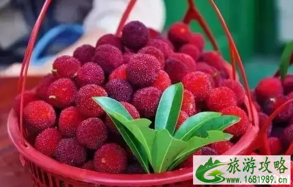 2022常州凭准考证景点免票名单