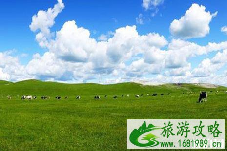 高考结束旅游推荐 高考结束旅游推荐