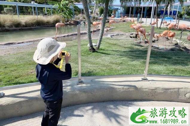 加勒比海邮轮旅游攻略 加勒比海邮轮旅游攻略