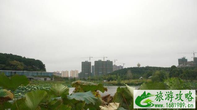 汤逊湖绿道骑行路线及攻略 汤逊湖绿道骑行路线及攻略