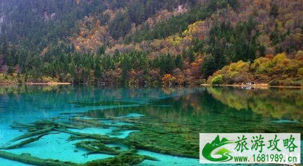 2022端午节去哪里玩 端午节去哪旅游比较好 2022端午节去哪里玩 端午节去哪旅游比较好