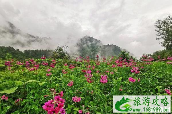 西岭雪山自驾游二日 西岭雪山自驾游二日