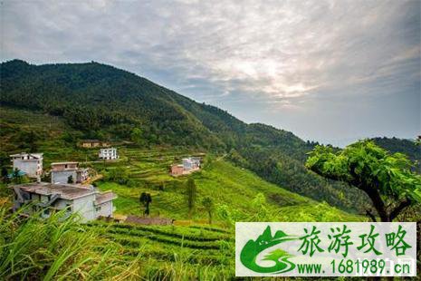 2022宜春端午节景区活动信息汇总 附活动时间安排 2022宜春端午节景区活动信息汇总 附活动时间安排