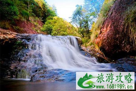 2022六一儿童节龙泉山景区免费信息