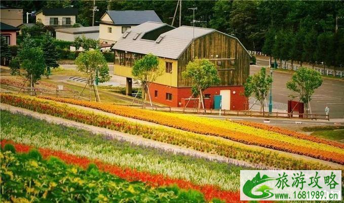 日本北海道富良野的花田最佳时间及游玩攻略