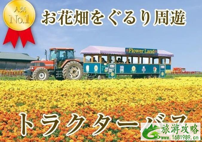 日本北海道富良野的花田最佳时间及游玩攻略
