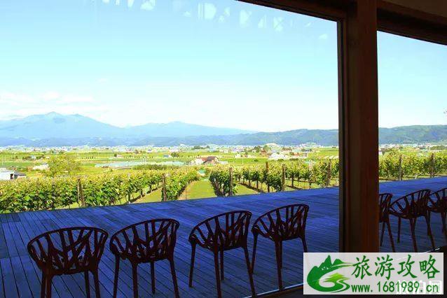 日本北海道富良野的花田最佳时间及游玩攻略
