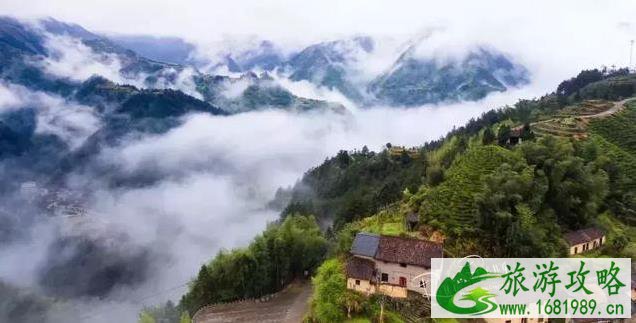 松阳古村落旅游攻略 松阳古村落旅游攻略