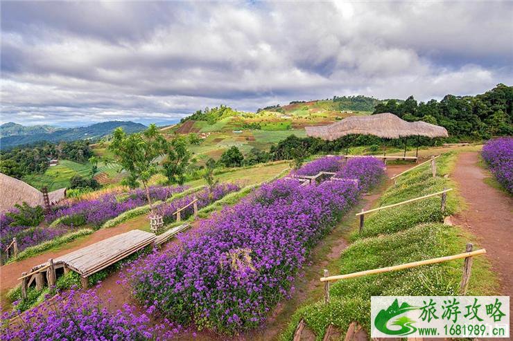 清迈湄林游玩项目推荐 清迈湄林游玩项目推荐