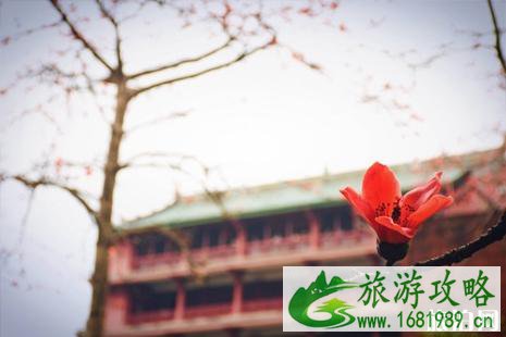 2022广州木棉花观赏地+花期+门票+交通