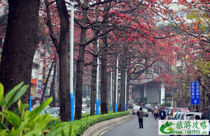 2022广州木棉花观赏地+花期+门票+交通 2022广州木棉花观赏地+花期+门票+交通