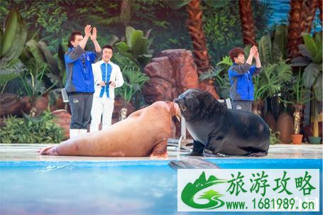 2022天津海昌极地海洋世界门票+优惠政策+项目介绍 2022天津海昌极地海洋世界门票+优惠政策+项目介绍