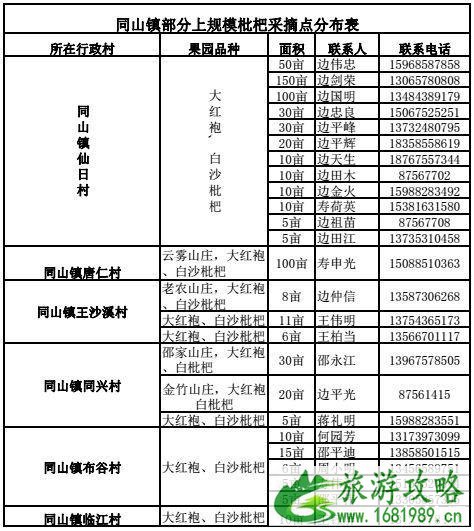 诸暨枇杷采摘园 地点+电话号码 诸暨枇杷采摘园 地点+电话号码