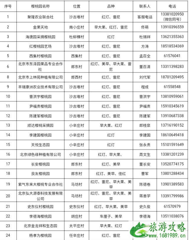 北京西集樱桃采摘节 地址+电话号码 北京西集樱桃采摘节 地址+电话号码