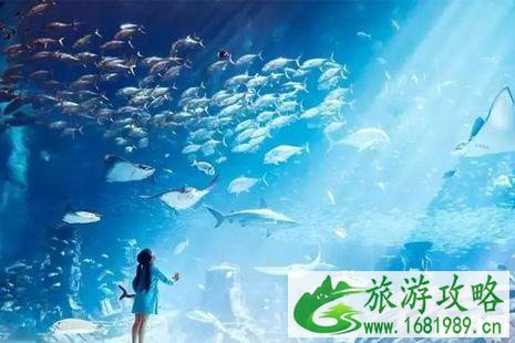 暑假亲子游推荐国外