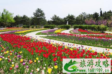 河北石家庄植物园能钓鱼吗 附石家庄植物园赏花攻略 河北石家庄植物园能钓鱼吗 附石家庄植物园赏花攻略