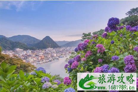 日本紫阳花盛花期2022 6月初日本哪里看紫阳花