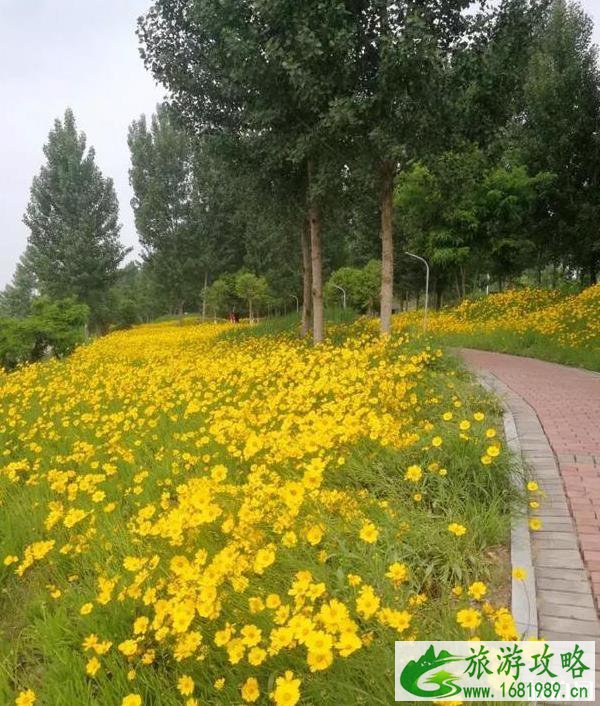 渭河湿地公园在哪里 渭河湿地公园地址在哪儿 渭河湿地公园在哪里 渭河湿地公园地址在哪儿