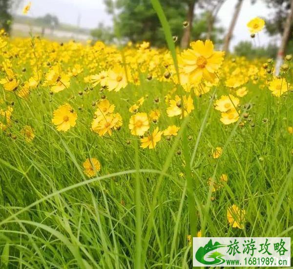 渭河湿地公园在哪里 渭河湿地公园地址在哪儿 渭河湿地公园在哪里 渭河湿地公园地址在哪儿